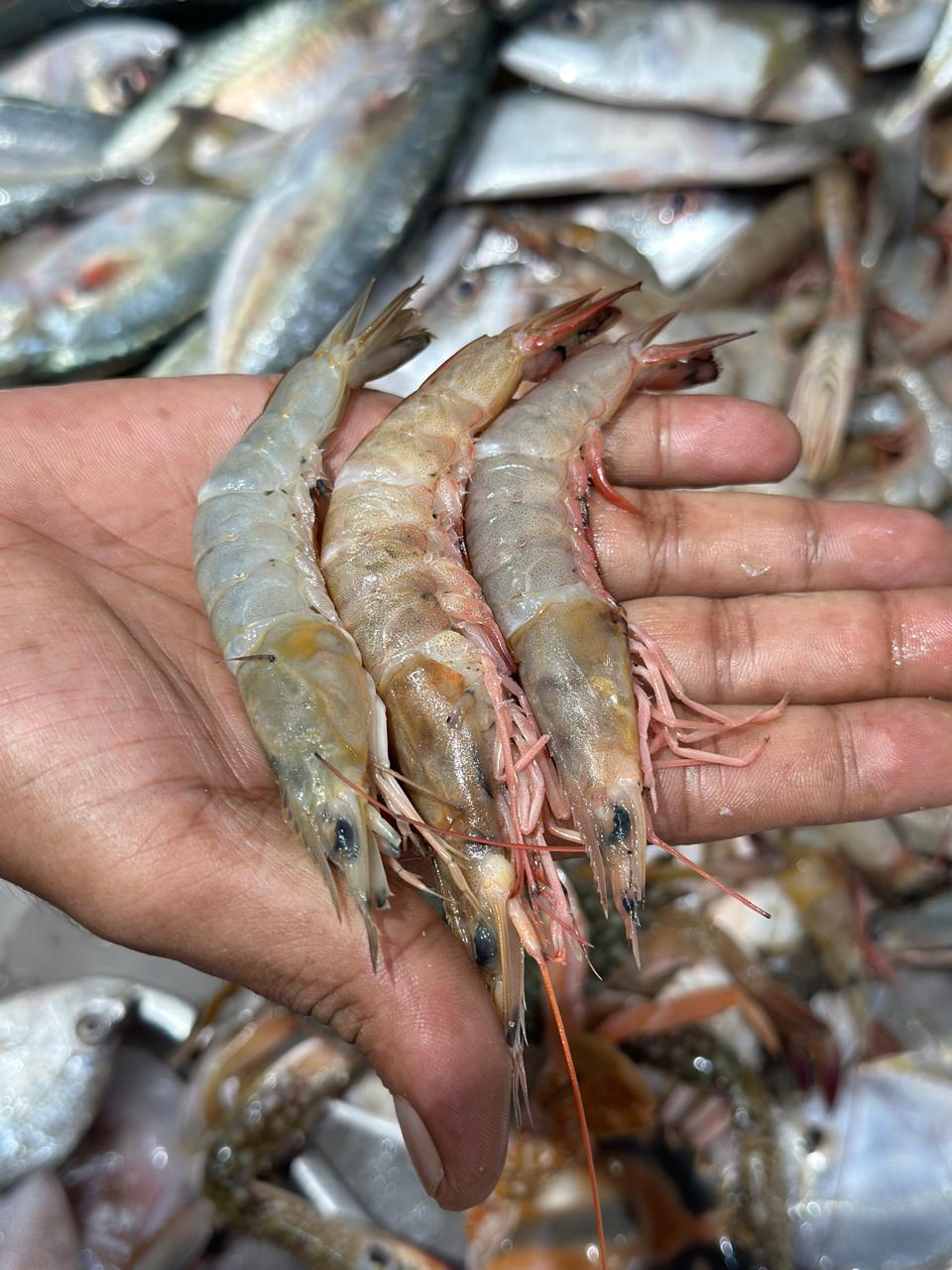 Prawns  Whole