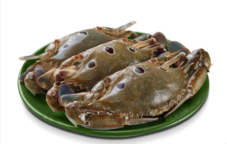 Sea Crab
