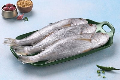 Kora | കോര